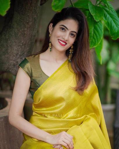 Soft Silk 4099 Bulk saree supplier in Hyderabad